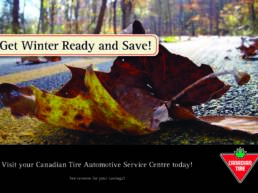 Canadian Tire Get Winter Ready Direct Mailer